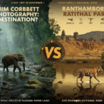 Corbett or Ranthambore for a 5-Day Budget Photography Trip?