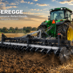 Messeregge: Unveiling Its Accuracy, Cultural Roots, and Modern Role