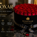 Rosboxar: Complete Guide to Luxury Infinity Rose Boxes and Elegant Gifts