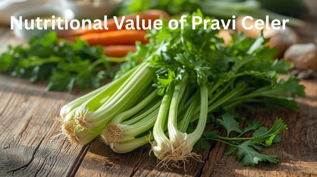 Pravi Celer