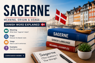Sagerne Meaning Explained: Complete Guide to Definition, Usage, and Examples