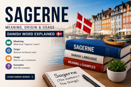 Sagerne Meaning Explained: Complete Guide to Definition, Usage, and Examples