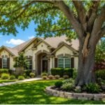 7 Signs Your Tree Needs to Be Removed Instead of Trimmed